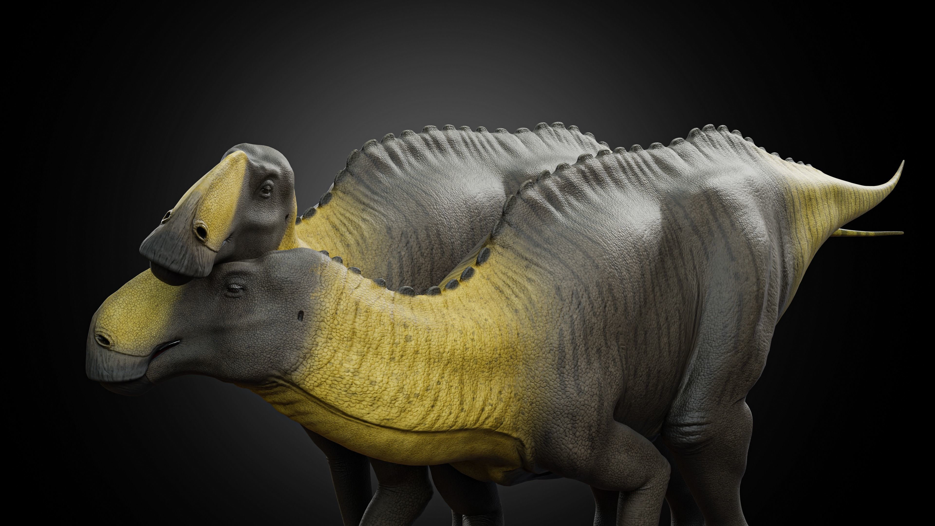 Gryposaurus notabilis Low-poly 3D model_5