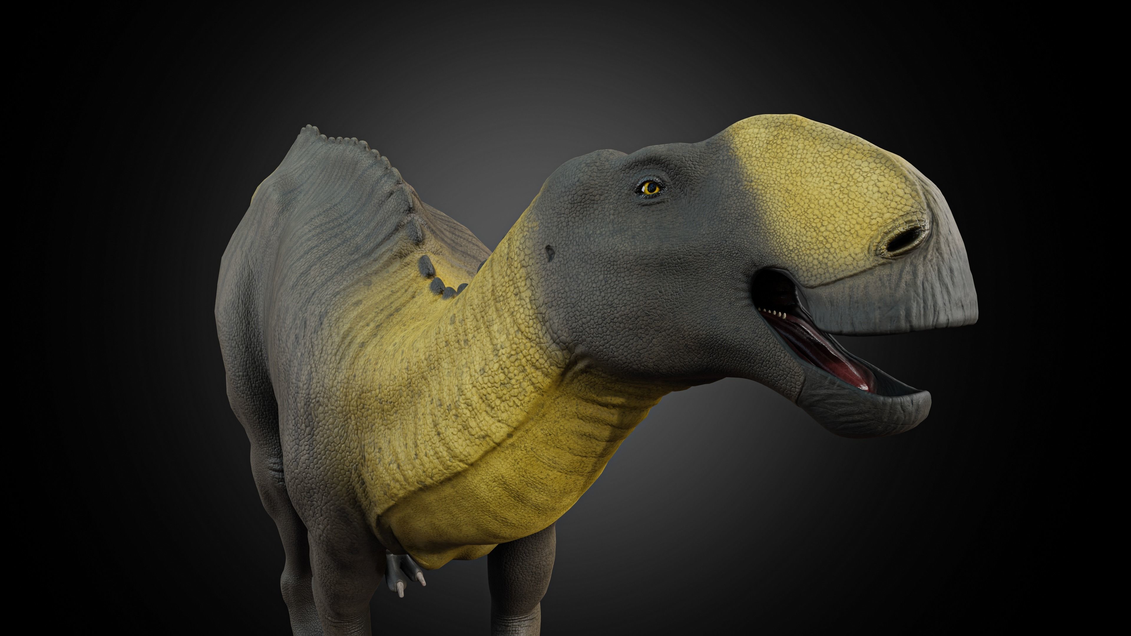 Gryposaurus notabilis Low-poly 3D model_4