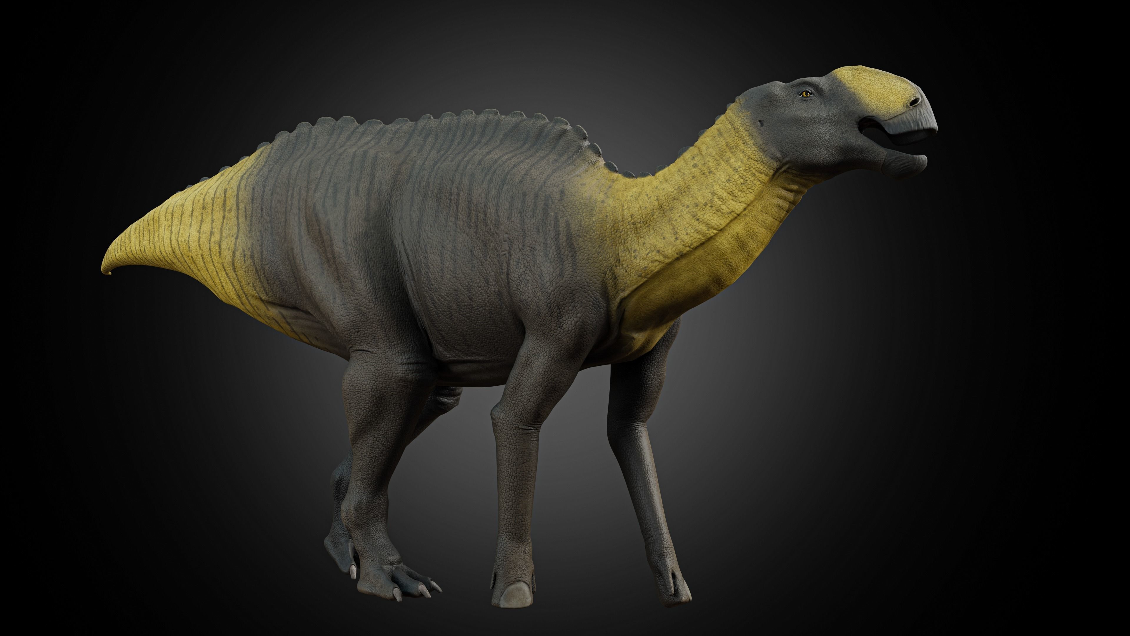 Gryposaurus notabilis Low-poly 3D model_3