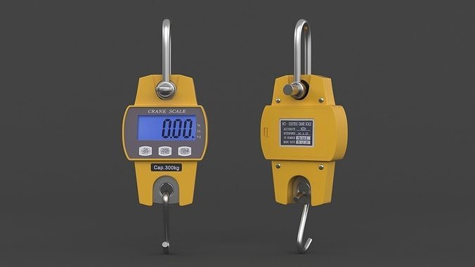 Weight Scale 3D model