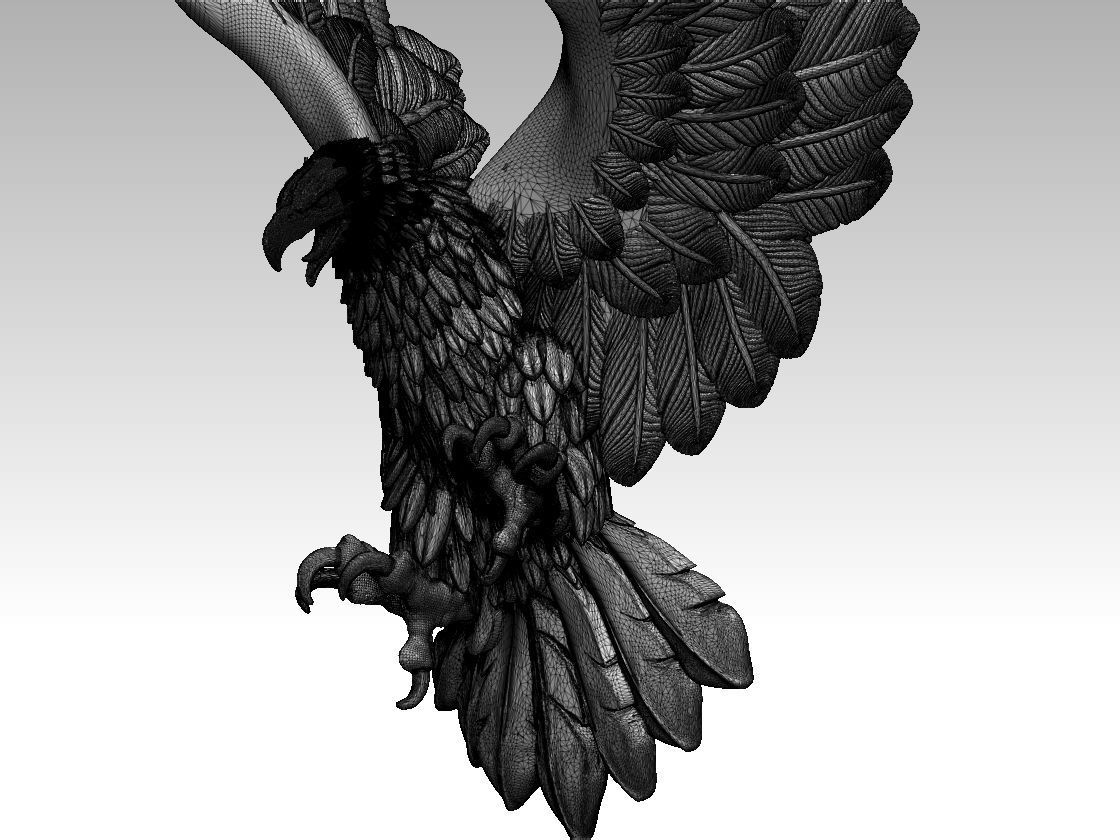 eagle bird 3D print model_10