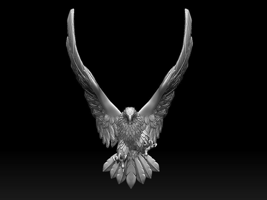 eagle bird 3D print model_2