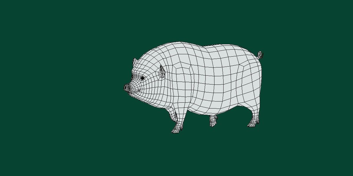 Vietnamese Pot-Bellied Pig Animal Low-poly 3D model_14