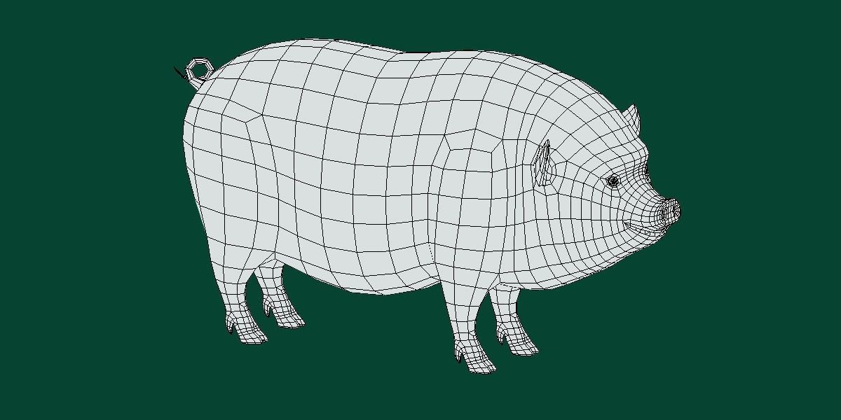 Vietnamese Pot-Bellied Pig Animal Low-poly 3D model_16
