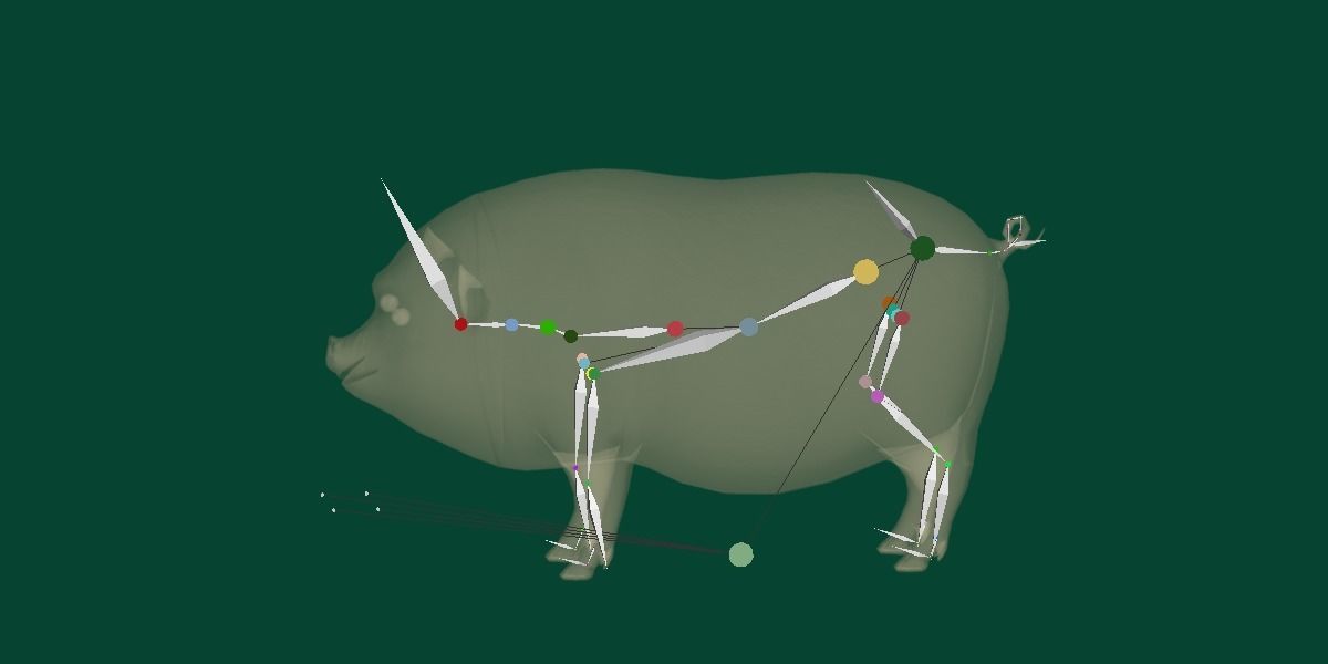Vietnamese Pot-Bellied Pig Animal Low-poly 3D model_9