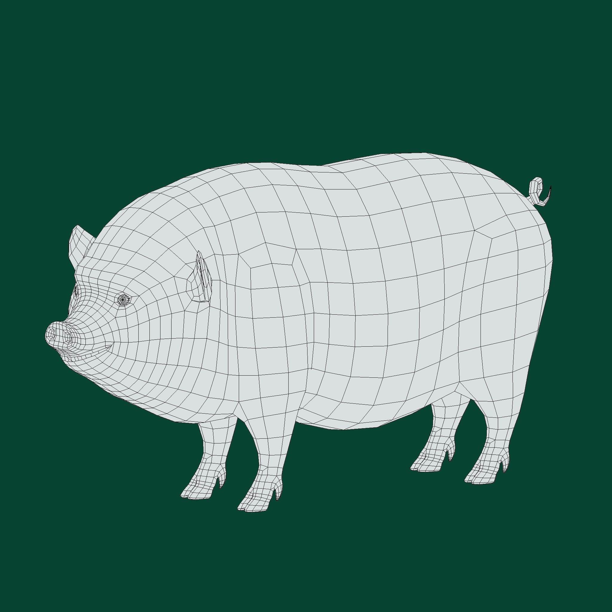 Vietnamese Pot-Bellied Pig Animal Low-poly 3D model_13