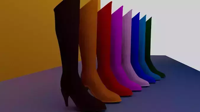 Fashion Leather Boots Package