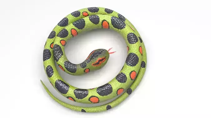 Rubber Snake 3D model