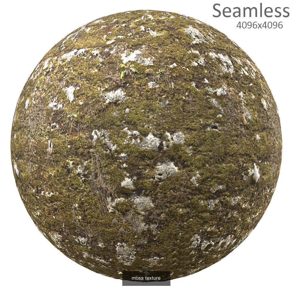 9 seamless moss texture 4096x4096 Texture_6