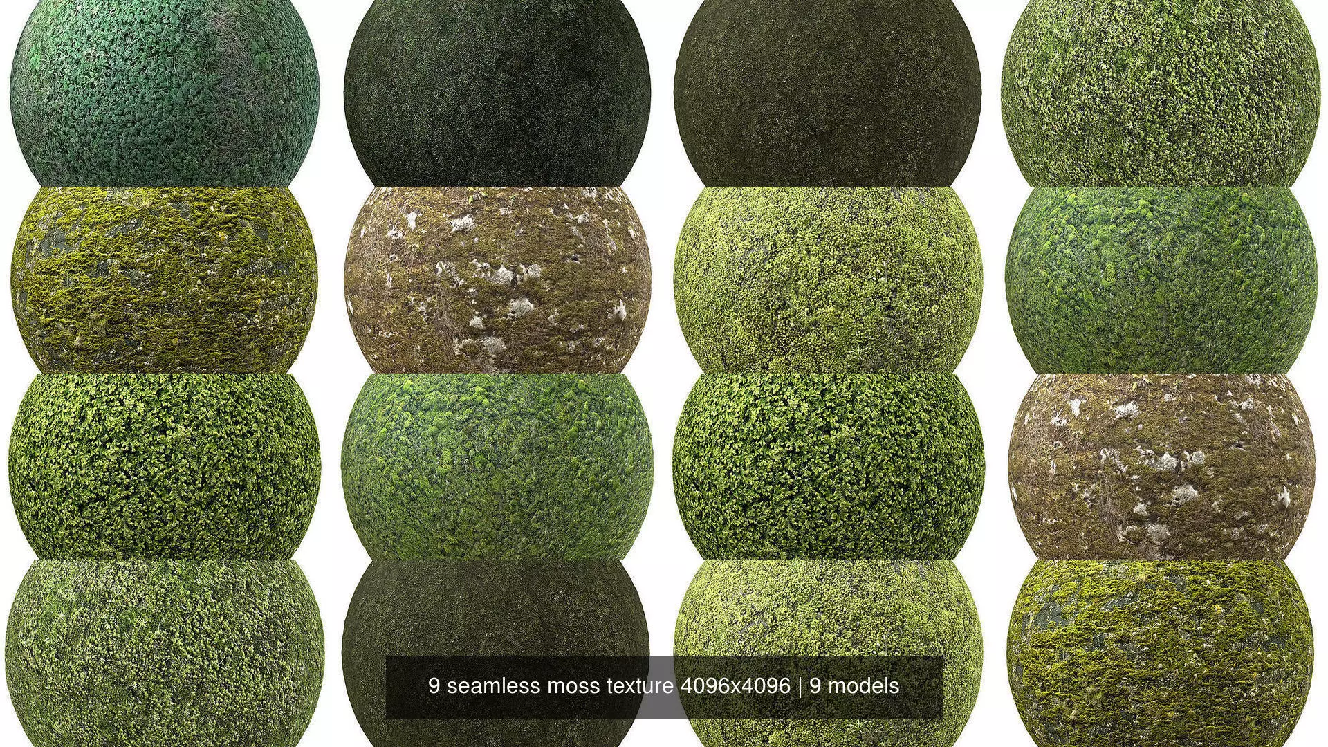 9 seamless moss texture 4096x4096 Texture_0