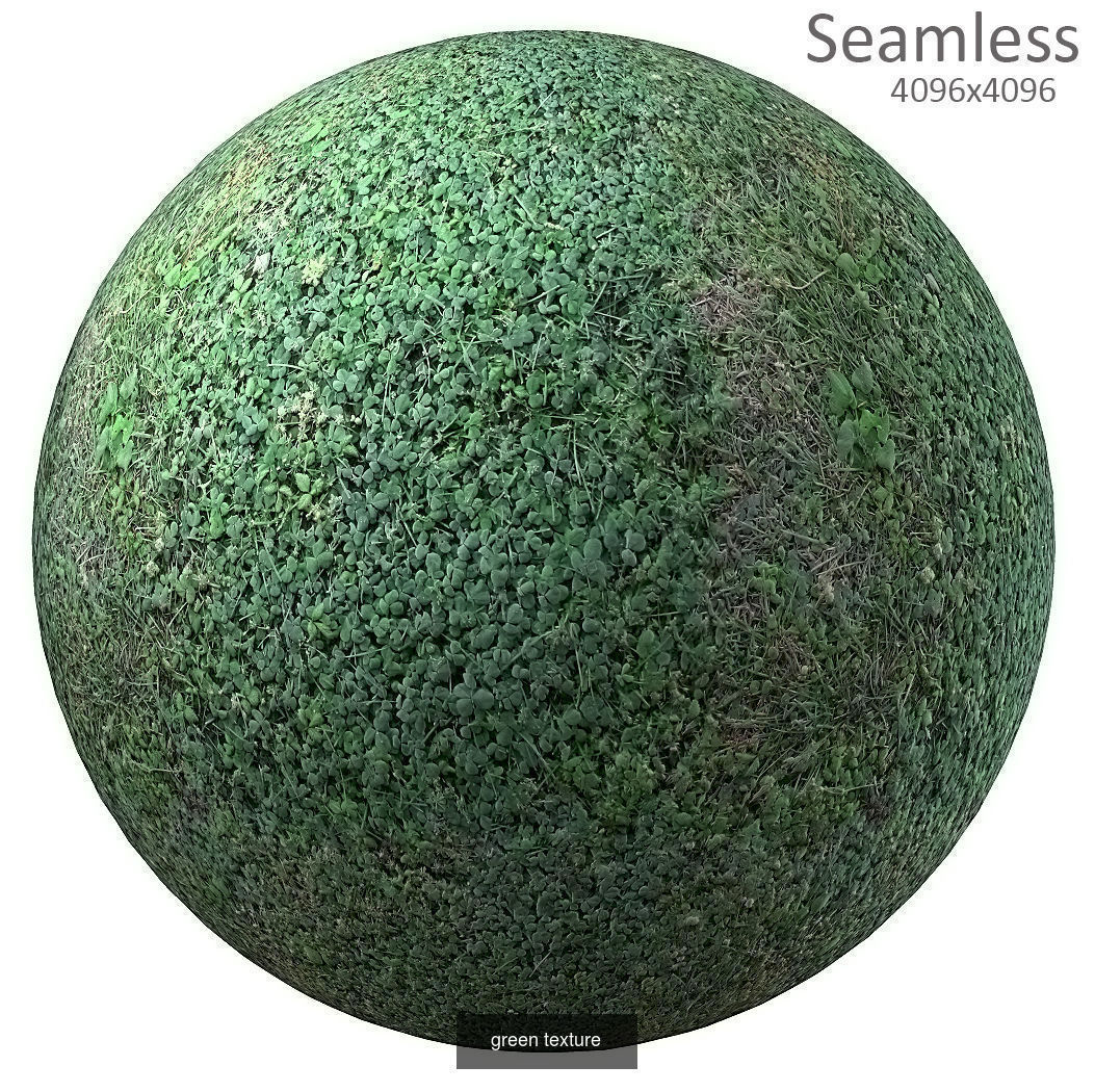 9 seamless moss texture 4096x4096 Texture_1