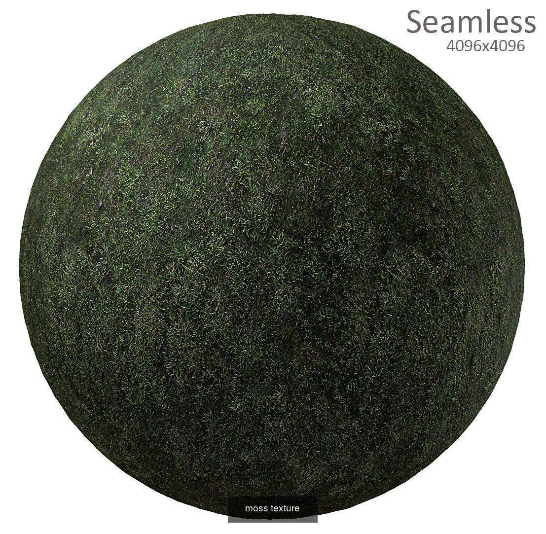 9 seamless moss texture 4096x4096 Texture_2