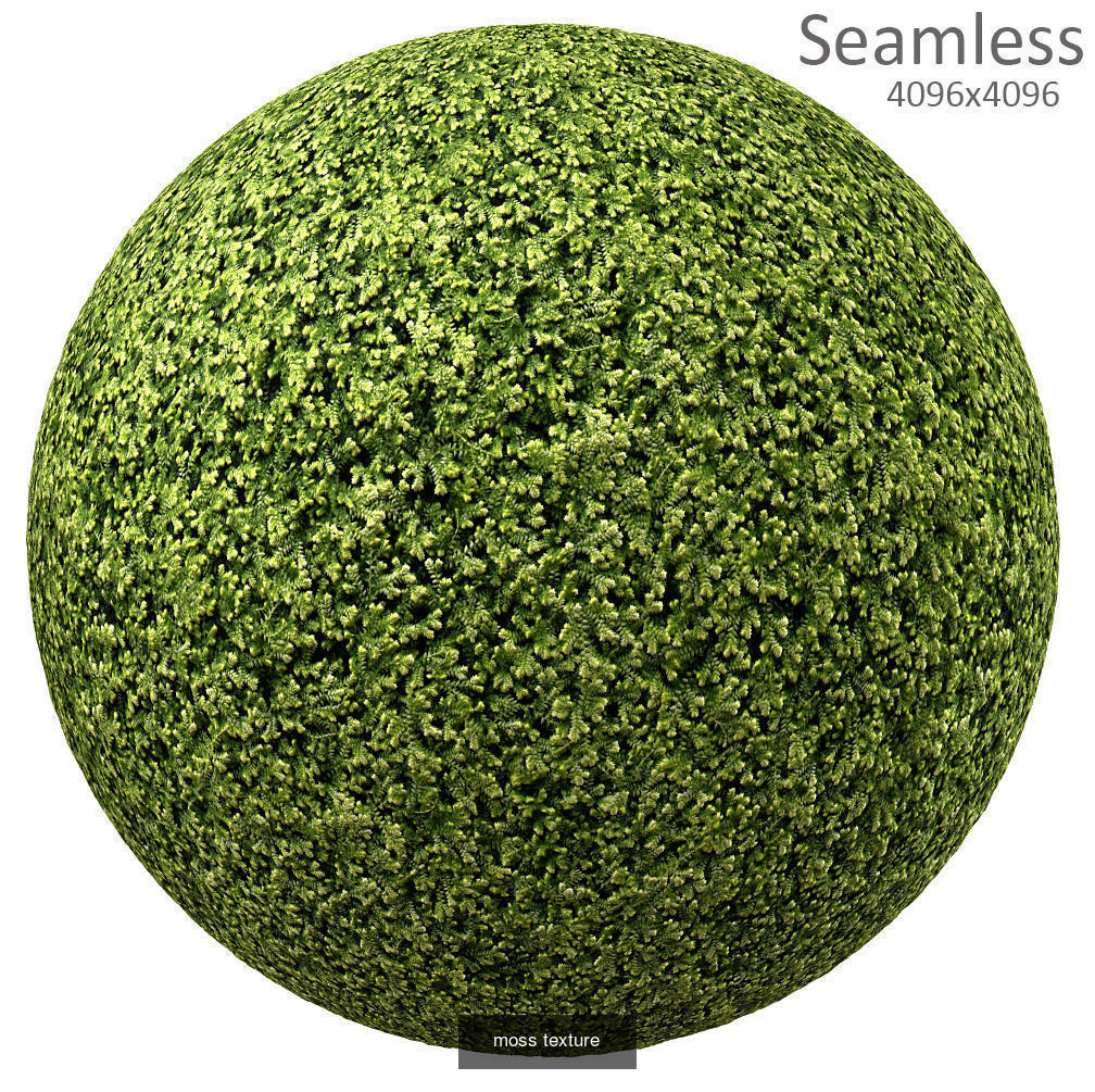 9 seamless moss texture 4096x4096 Texture_9