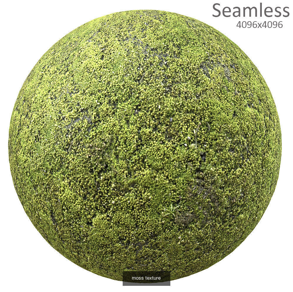 9 seamless moss texture 4096x4096 Texture_7