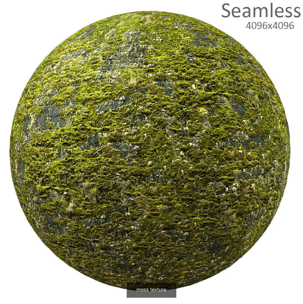9 seamless moss texture 4096x4096 Texture_5