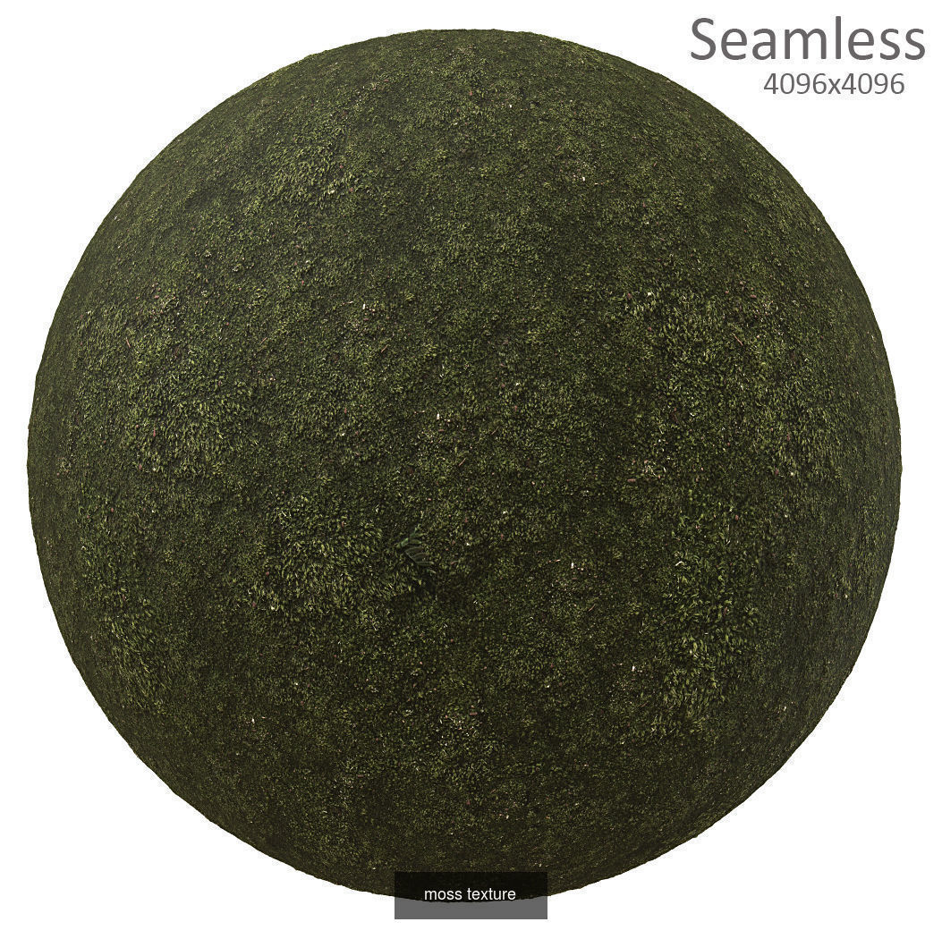 9 seamless moss texture 4096x4096 Texture_3