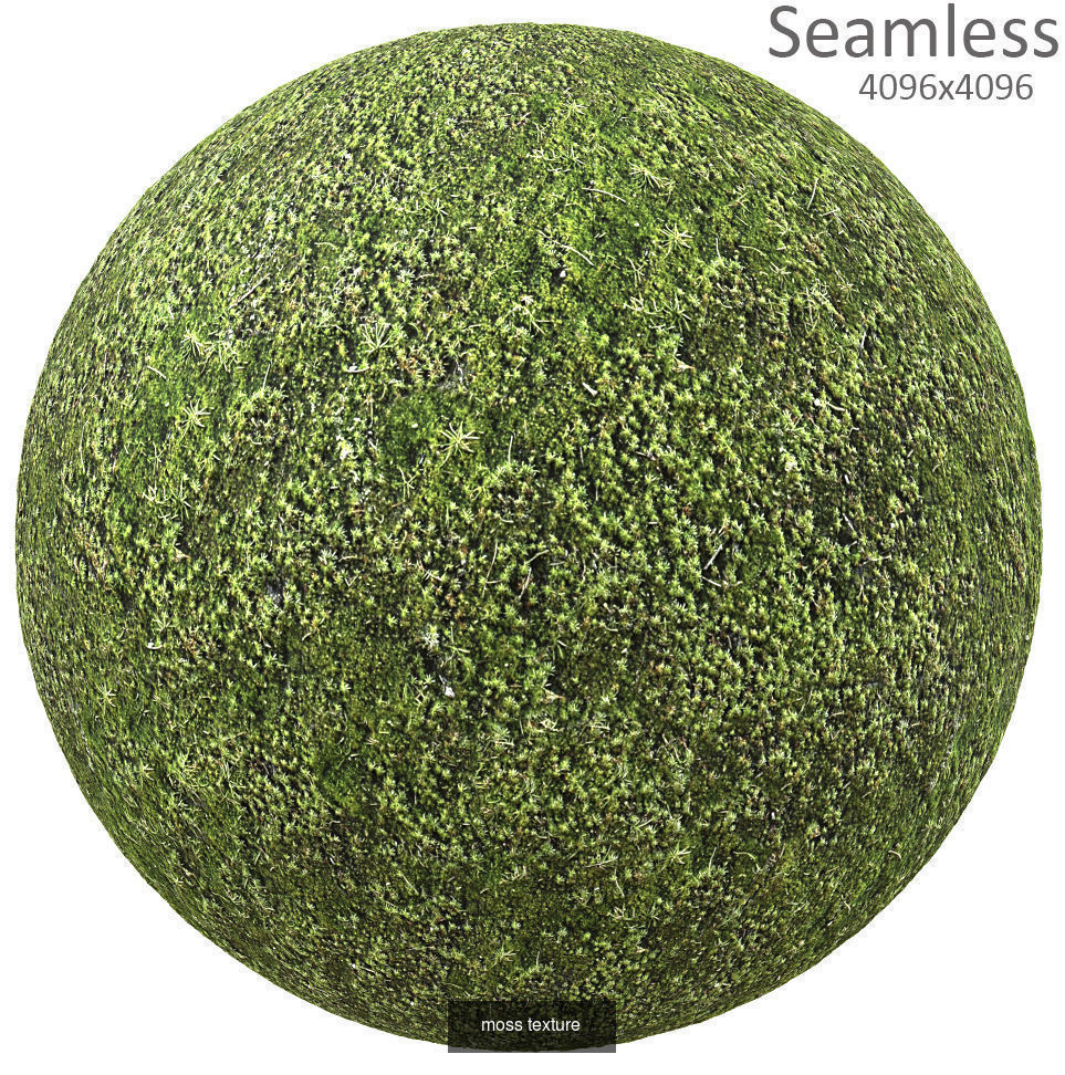9 seamless moss texture 4096x4096 Texture_4
