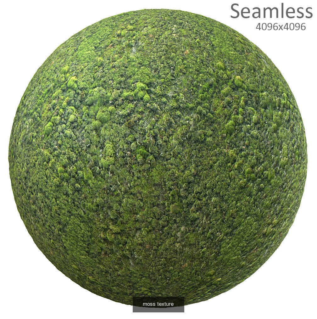 9 seamless moss texture 4096x4096 Texture_8
