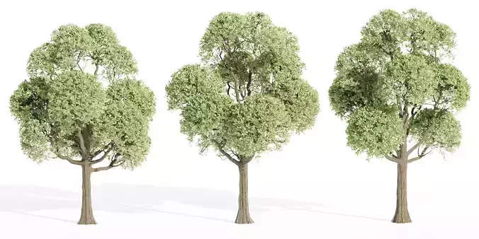 Outdoor Trees Collection vol 93-Blender