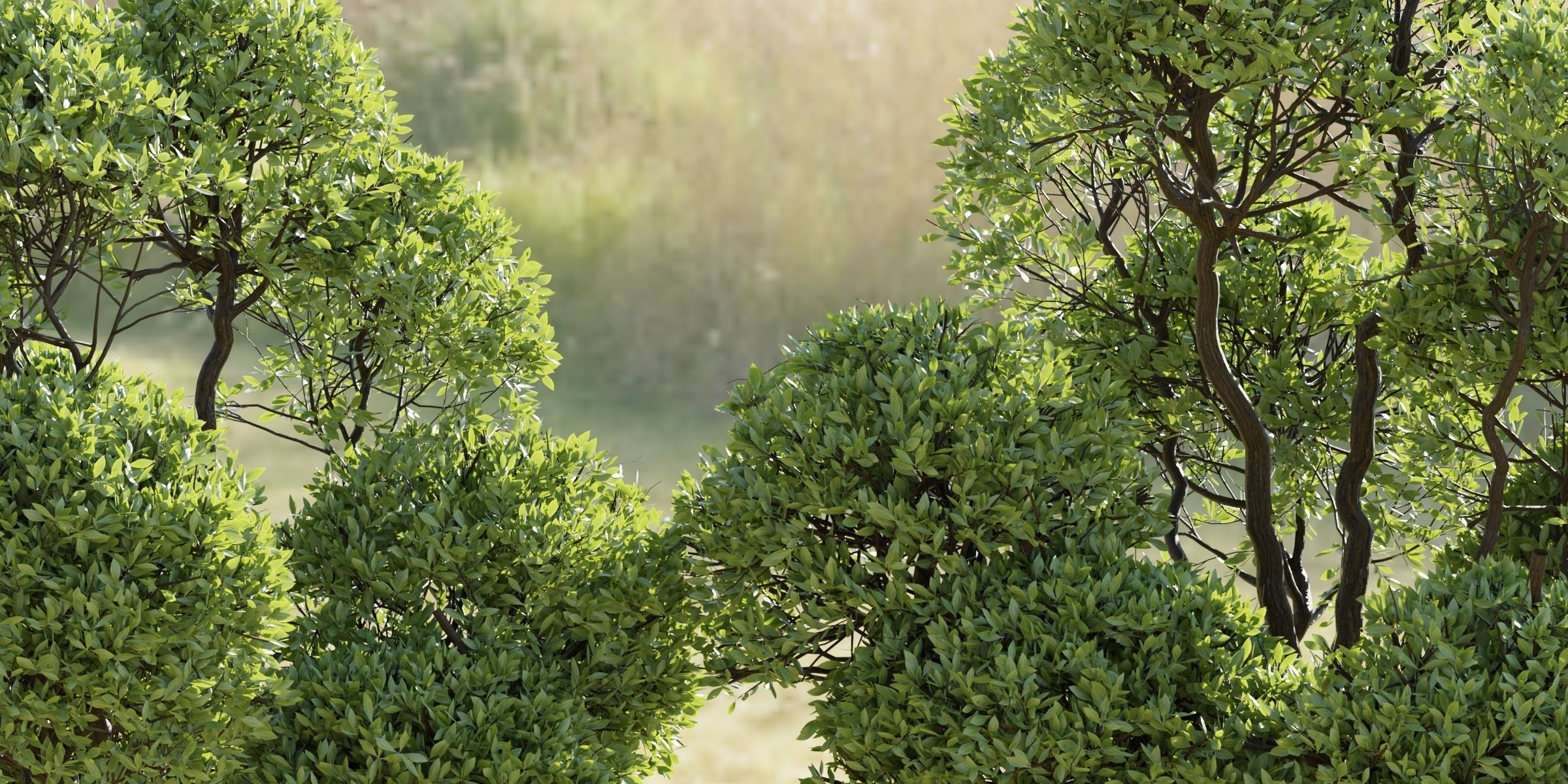 Outdoor Trees Collection vol 93-Blender 3D model_1