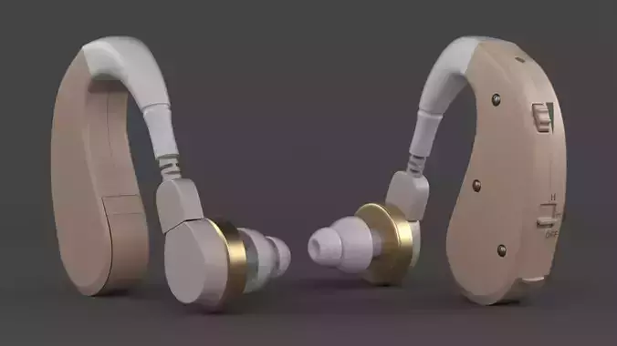 Hearing Aid