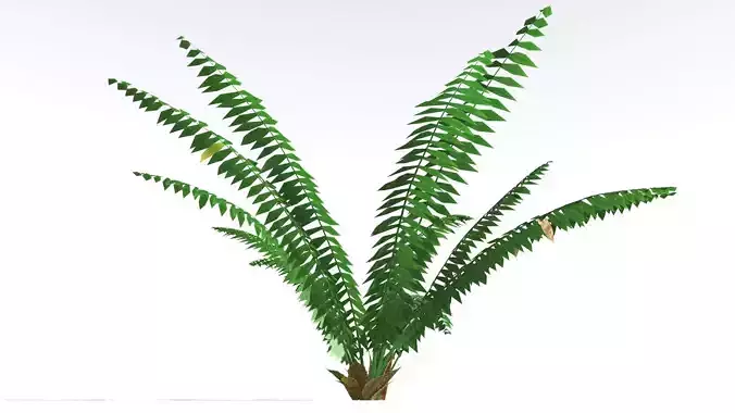EVERYPlant Basket Fern LowPoly 4 --14 Models-- Low-poly 3D model