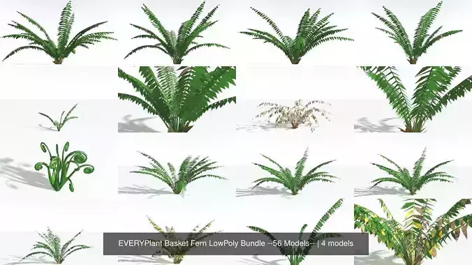 EVERYPlant Basket Fern LowPoly Bundle --56 Models-- 3D Model Collection