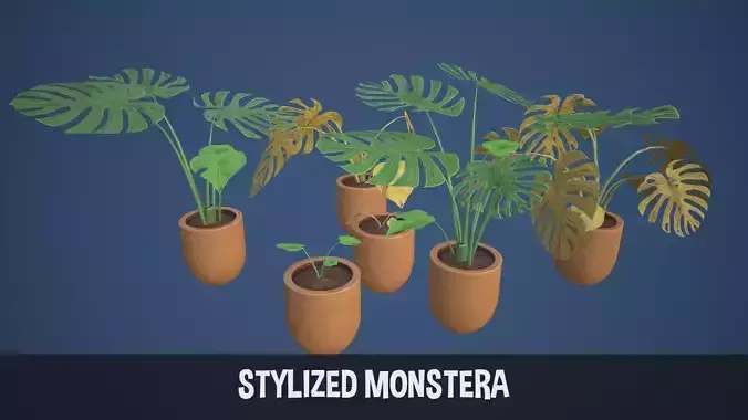 Stylized Monstera Swiss Cheese Plant
