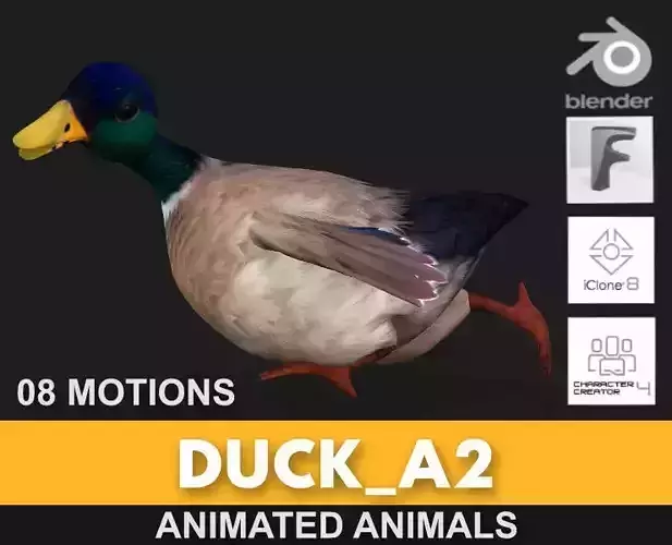 Duck A2