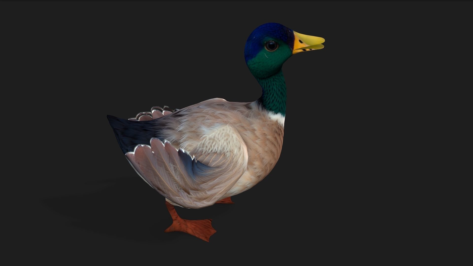 Duck A2 3D model_5