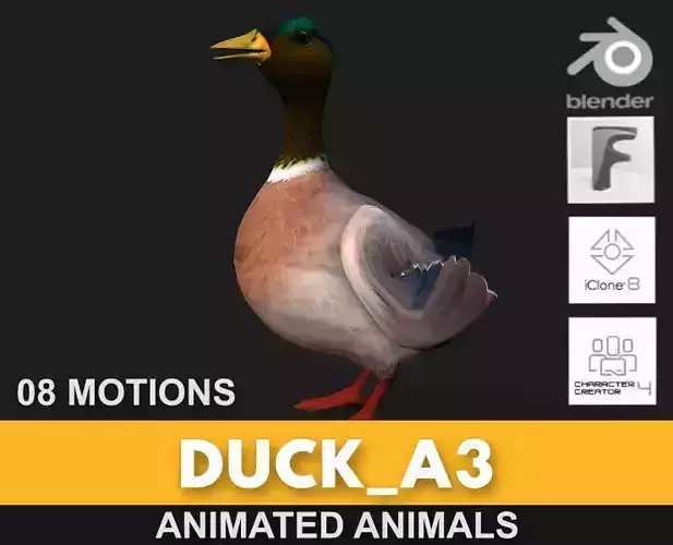 Duck A3