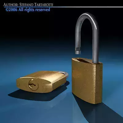 Padlock1 two gold padlocks