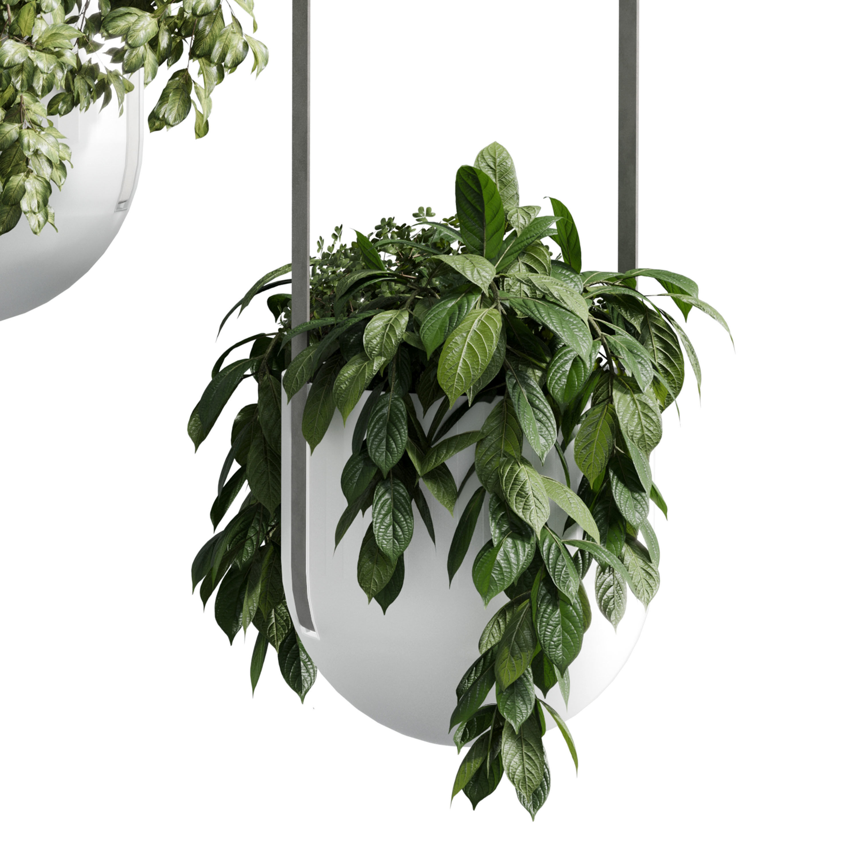kabo pydo jungle pot light pendant - plant light hanging 17  Low-poly 3D model_2