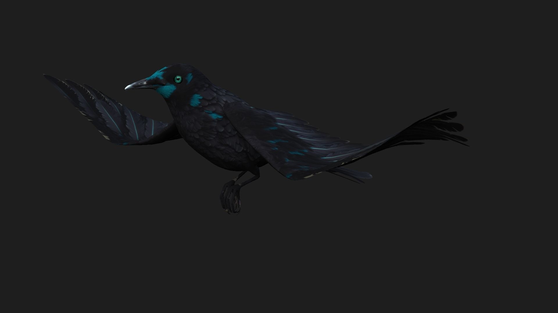 Raven A2 3D model_2