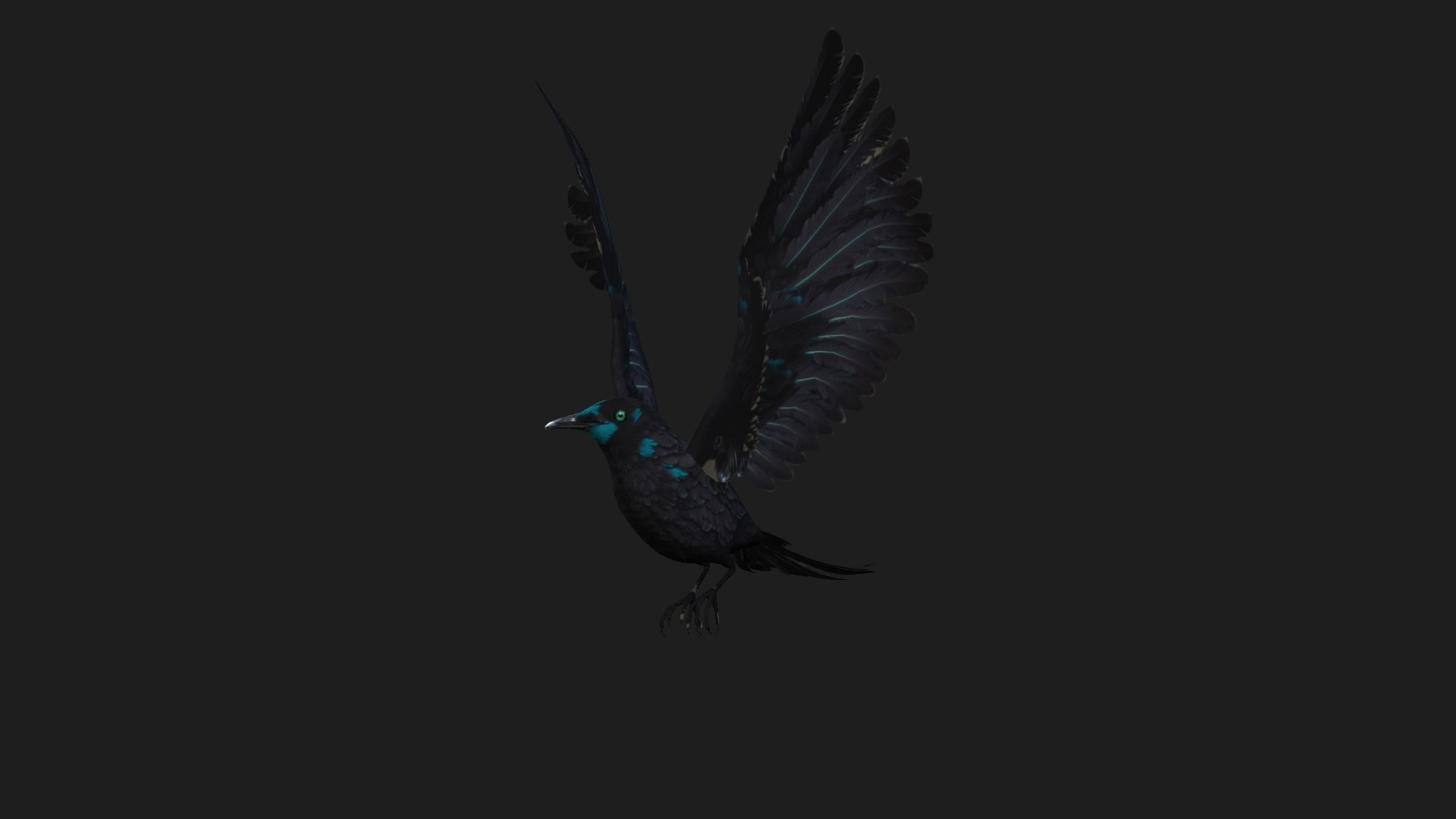 Raven A2 3D model_4