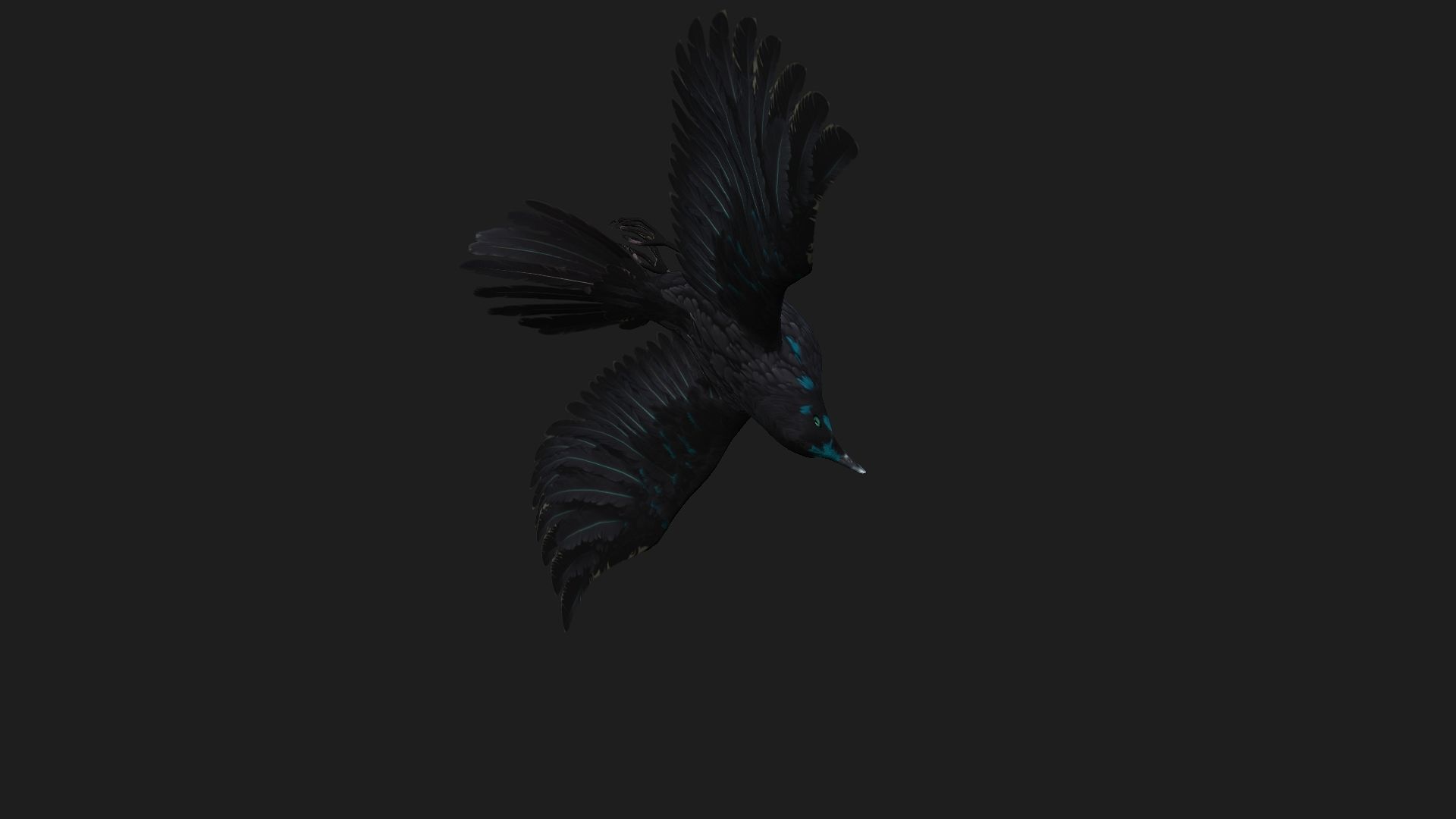 Raven A2 3D model_6