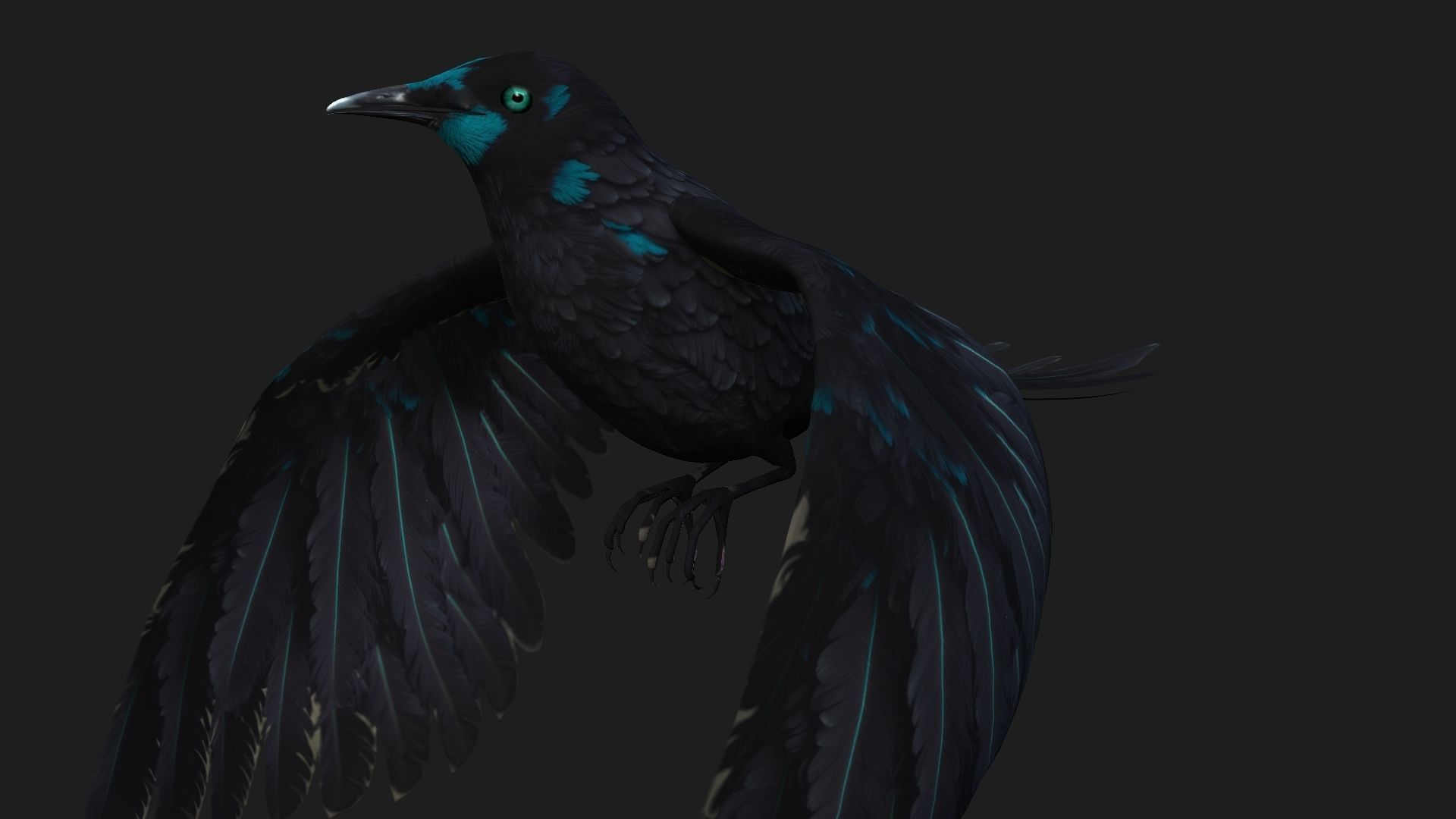 Raven A2 3D model_3
