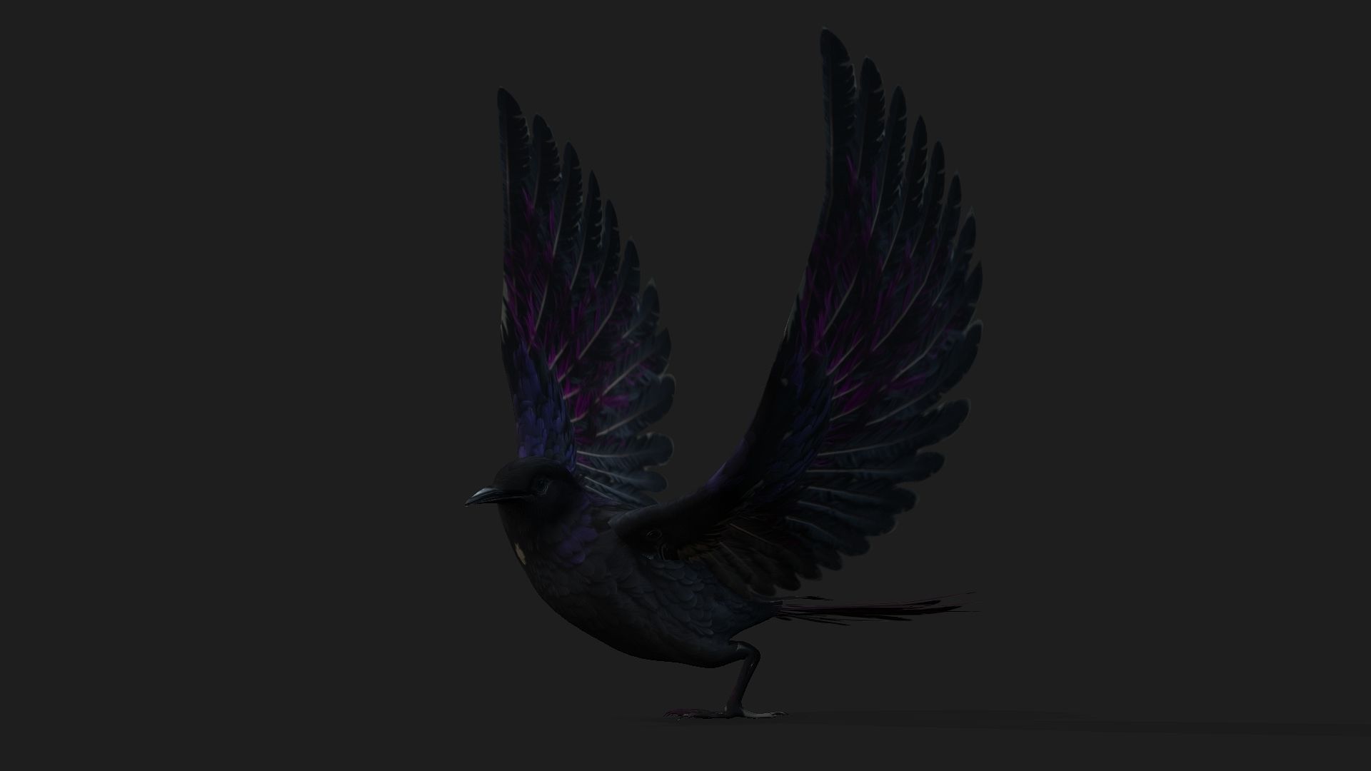 Raven A3 3D model_3