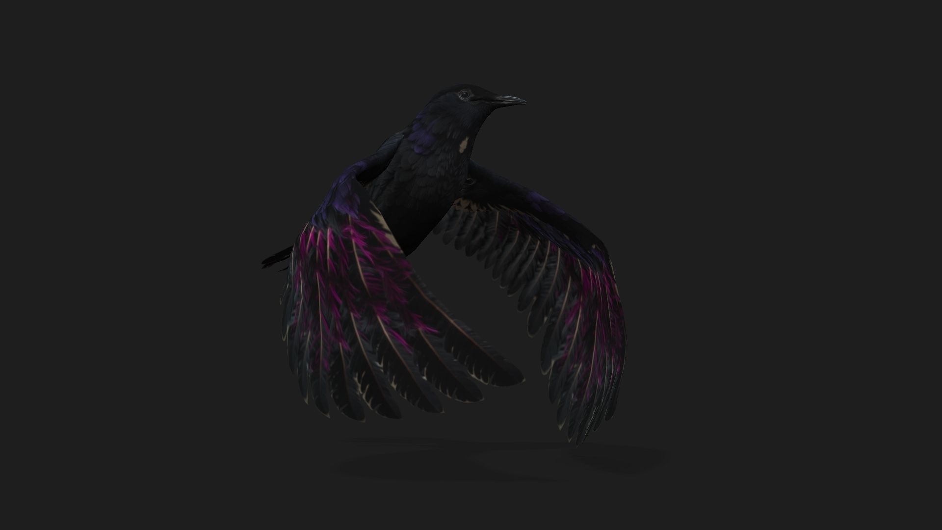 Raven A3 3D model_6