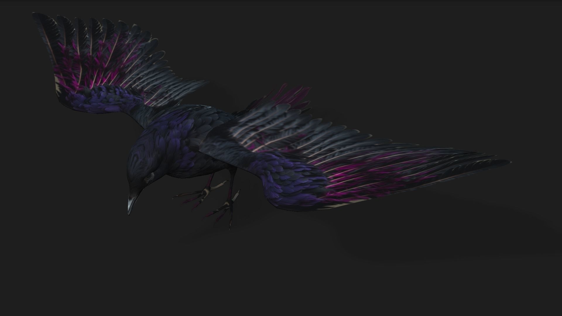 Raven A3 3D model_2