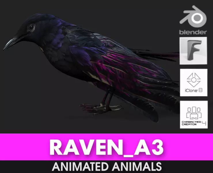 Raven A3 3D model_0