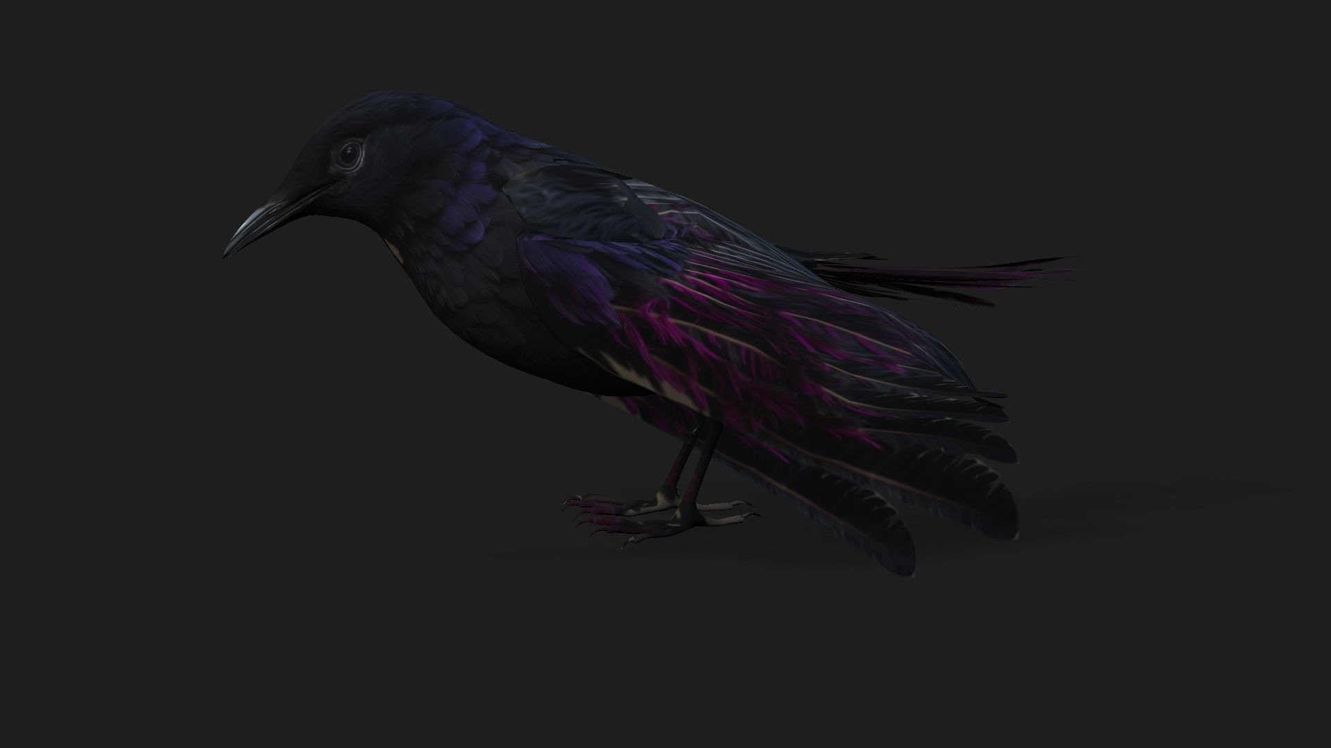 Raven A3 3D model_5