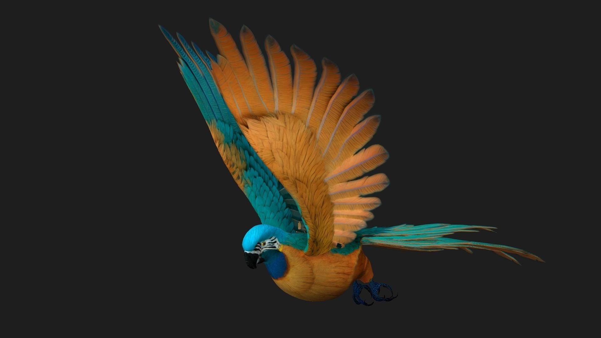 Parrot A1 3D model_4