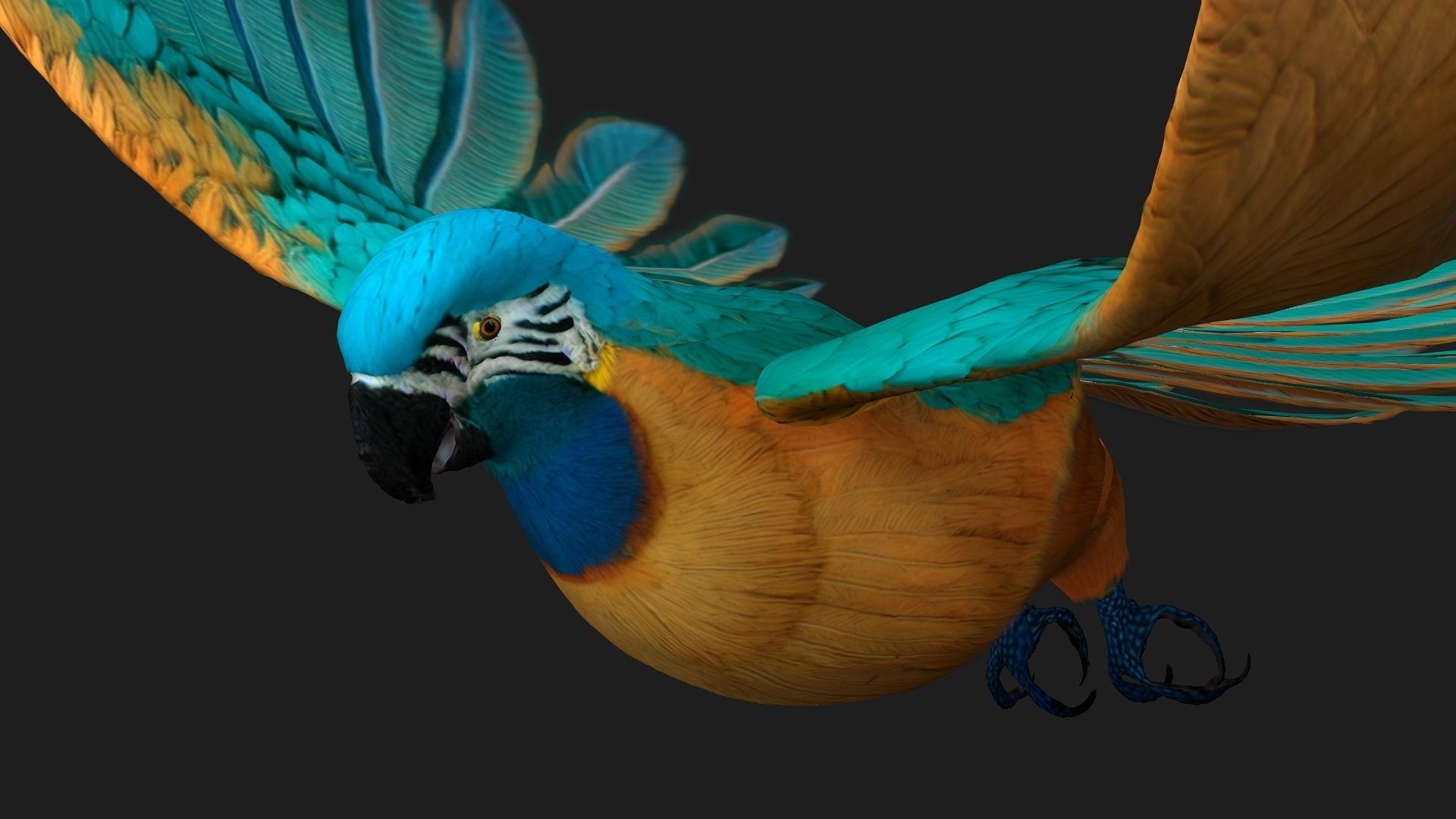 Parrot A1 3D model_6