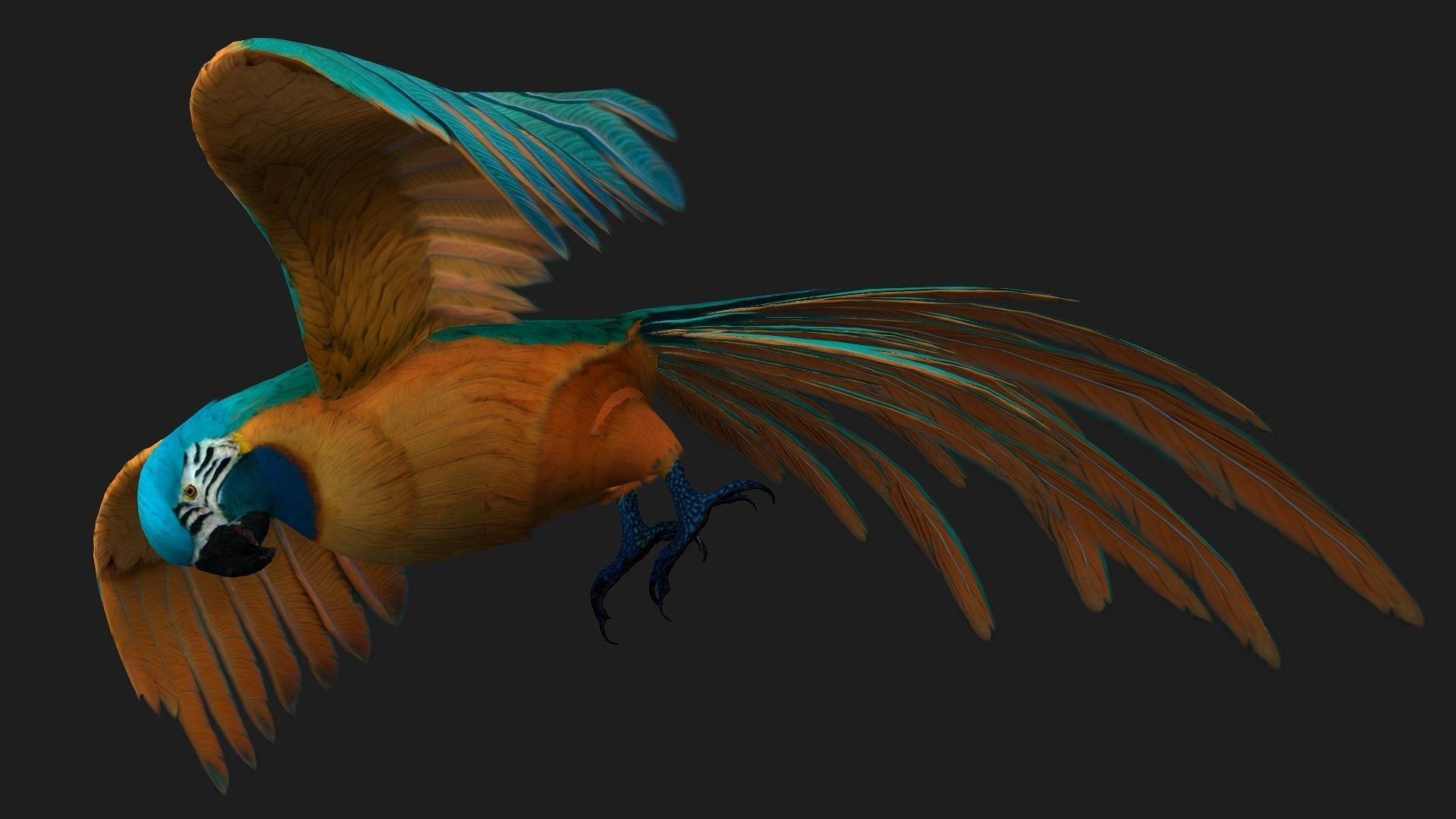 Parrot A1 3D model_5