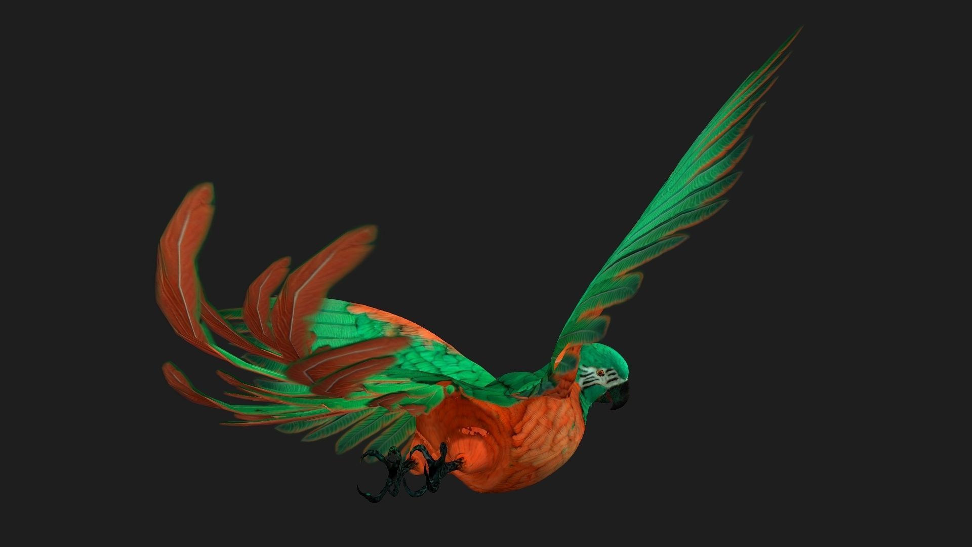 Parrot A2 3D model_3