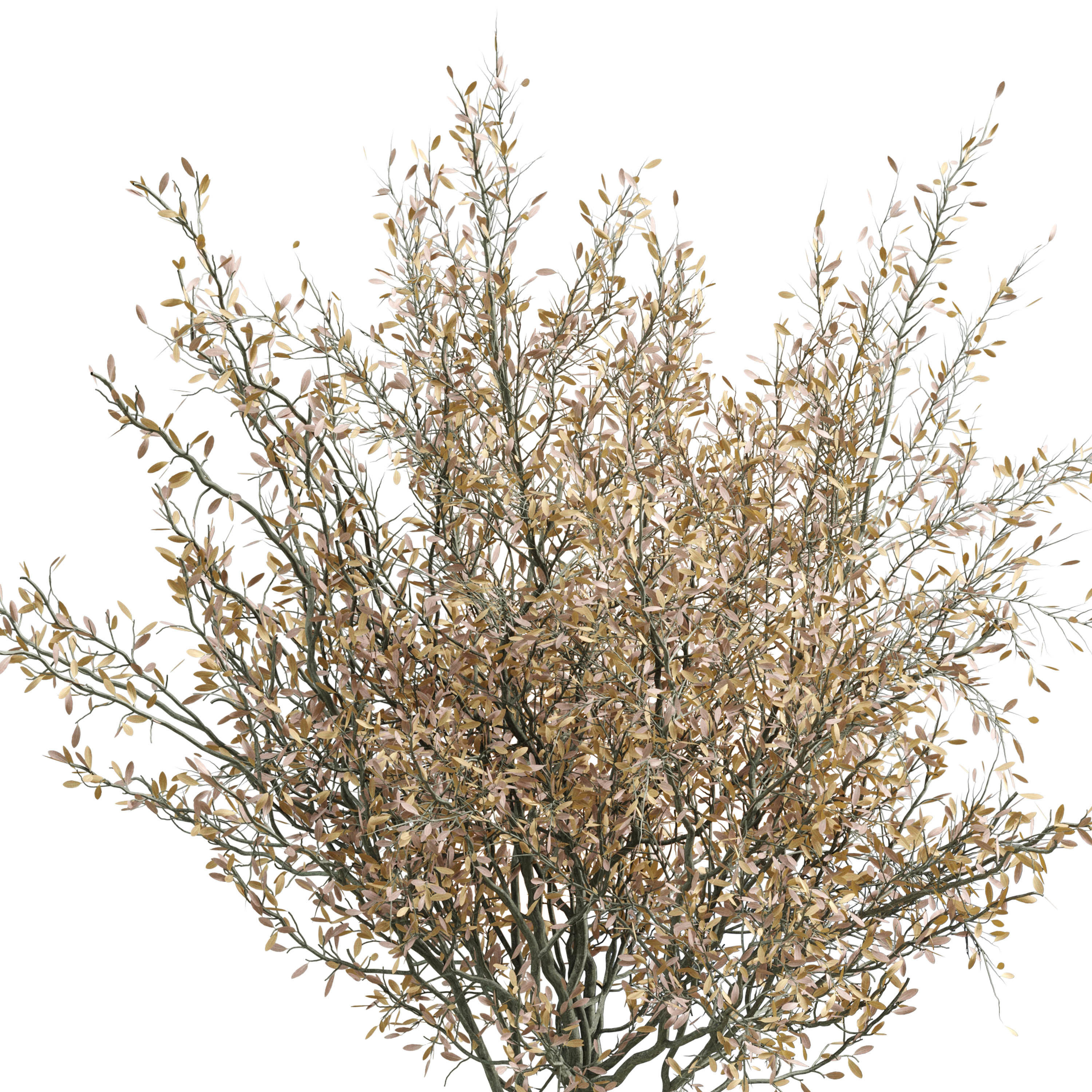 dried branch tree in dirty concrete vase - bouquet set 40 Low-poly 3D model_1