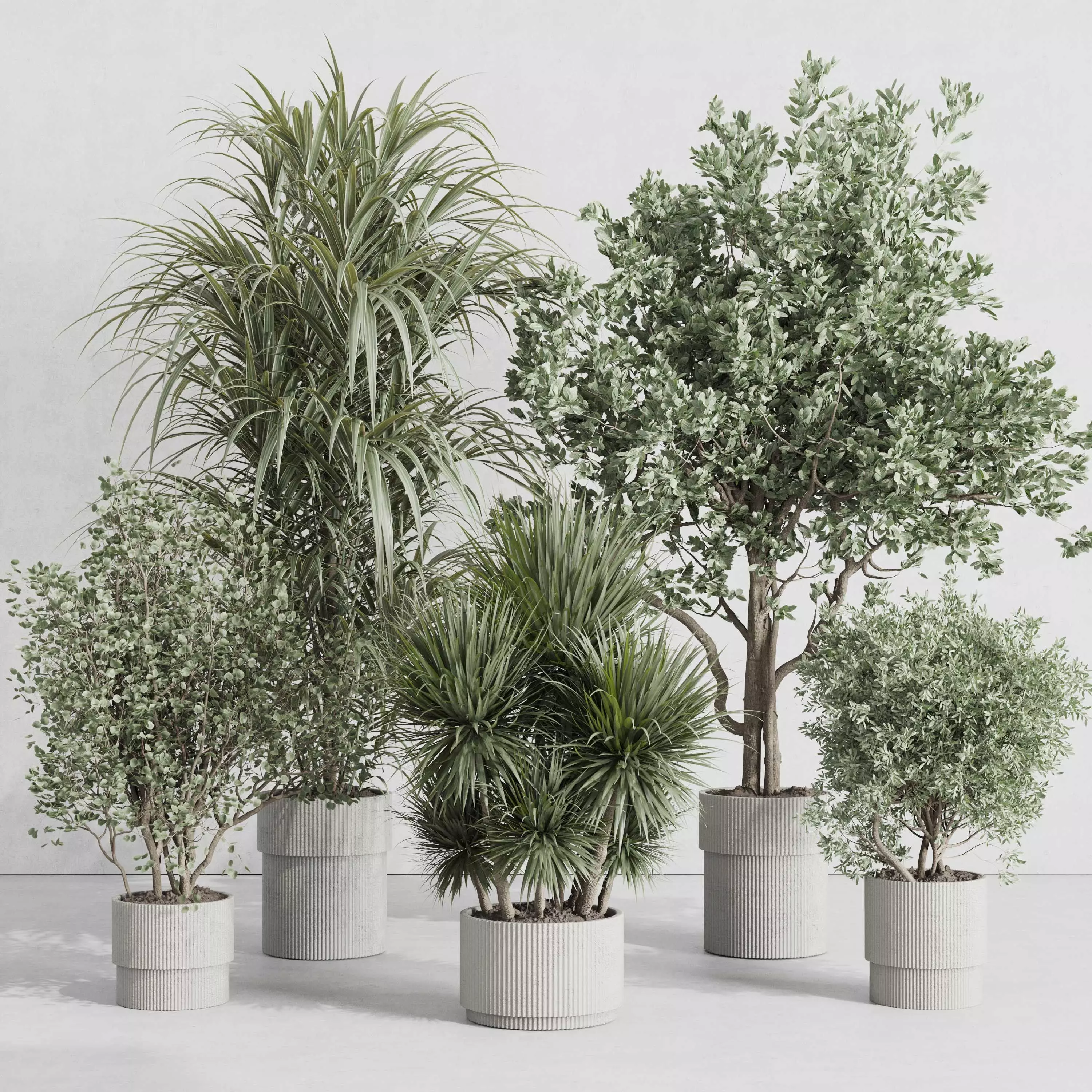 indoor plant set 415 plant tree palm bush concrete dirt vase Low-poly 3D model