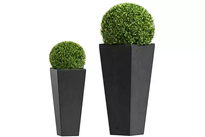 Modern Boxwood in the garden planter ArtDeco 3D model