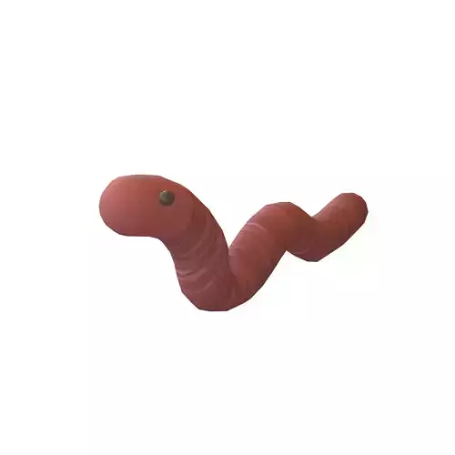 Cartoon Worm V1 001